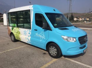 FURGONE GELATI – EISWAGEN – EISBUS (1) FURGONE GELATI