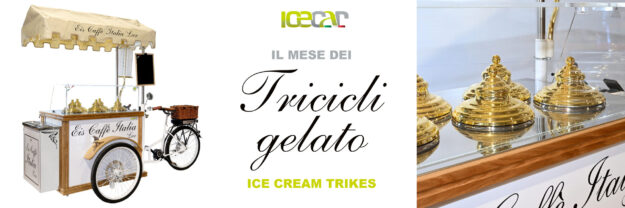GRIGLIA A 3 FOTO