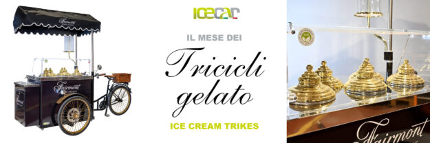 GRIGLIA A 3 FOTO